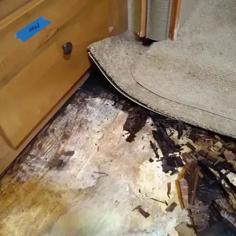 Wood Floor Water Damage in Grasonville, MD